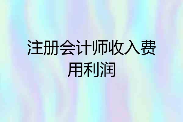注册会计师收入费用利润