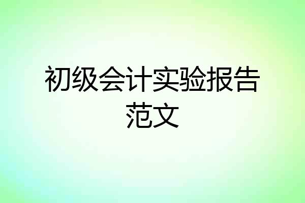 初级会计实验报告范文