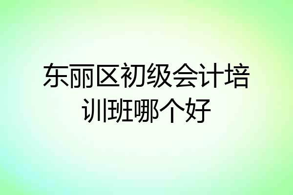 东丽区初级会计培训班哪个好