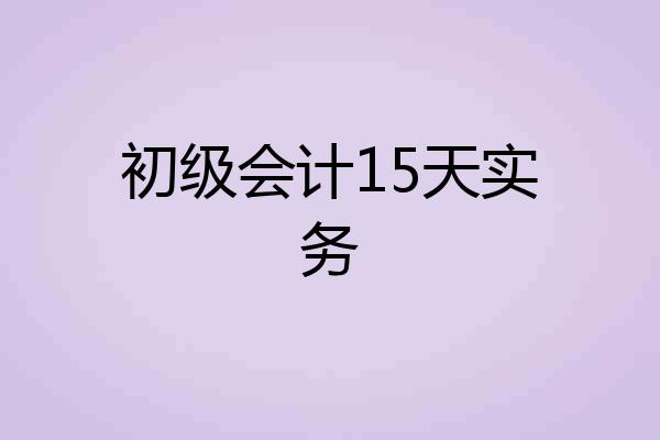 初级会计15天实务