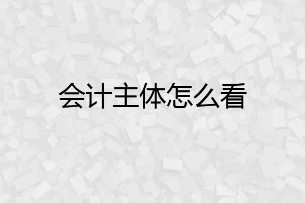 会计主体怎么看