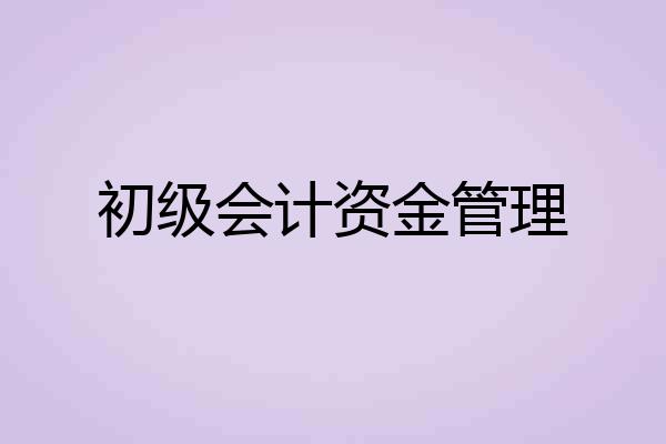 初级会计资金管理