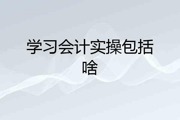 学习会计实操包括啥