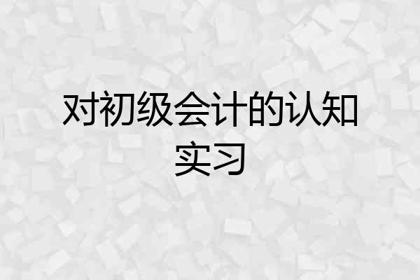 对初级会计的认知实习