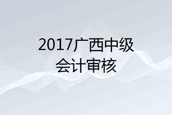 2017广西中级会计审核