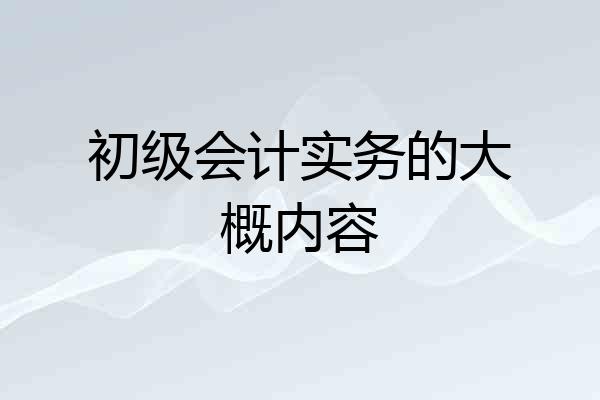 初级会计实务的大概内容