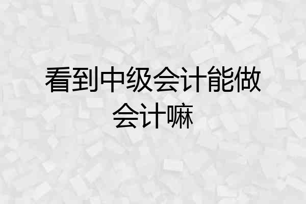 看到中级会计能做会计嘛
