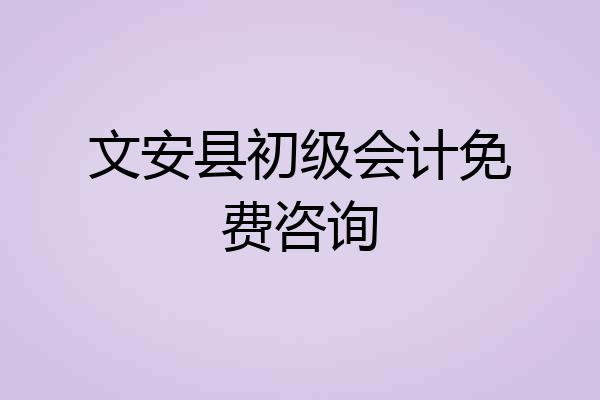 文安县初级会计免费咨询