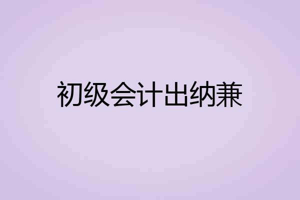 初级会计出纳兼
