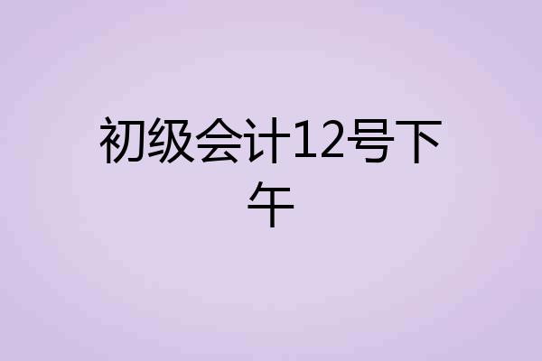 初级会计12号下午