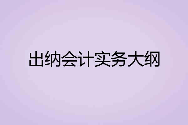 出纳会计实务大纲
