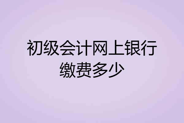 初级会计网上银行缴费多少