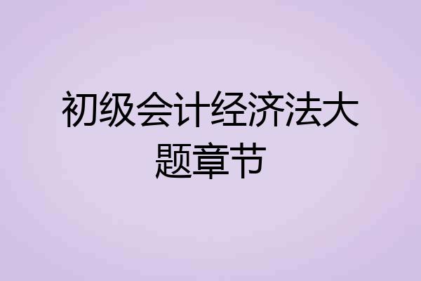 初级会计经济法大题章节