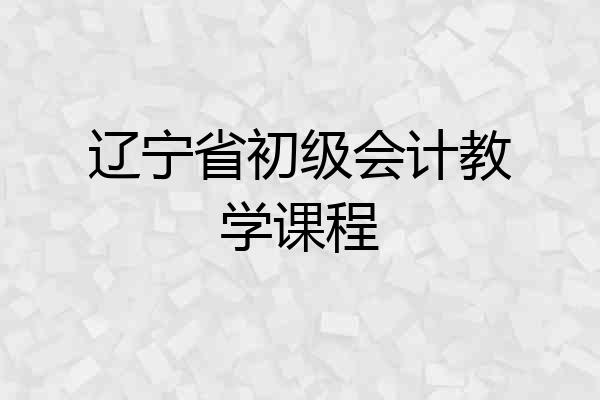 辽宁省初级会计教学课程