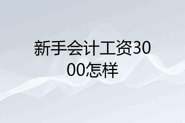 新手会计工资3000怎样