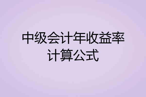 中级会计年收益率计算公式