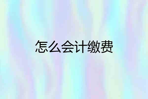 怎么会计缴费