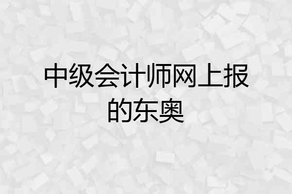 中级会计师网上报的东奥