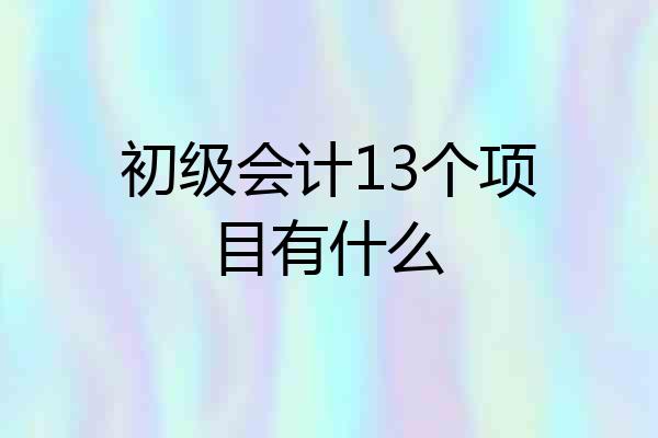 初级会计13个项目有什么