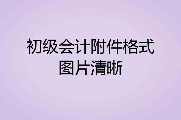 初级会计附件格式图片清晰