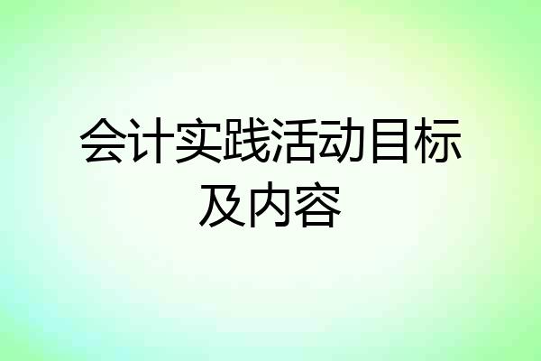 会计实践活动目标及内容