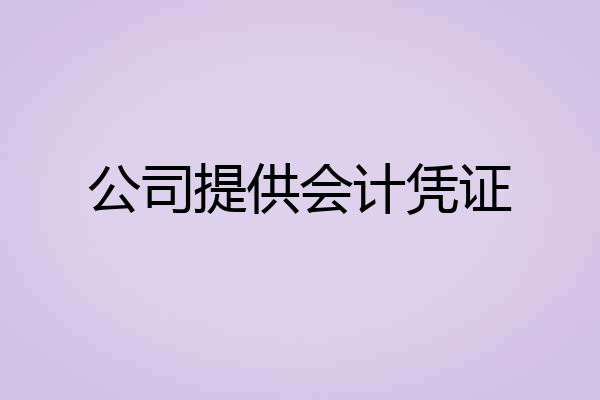 公司提供会计凭证