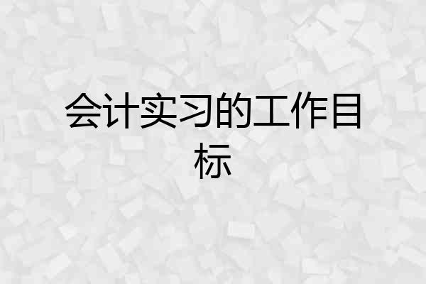 会计实习的工作目标