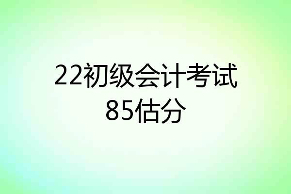 22初级会计考试85估分