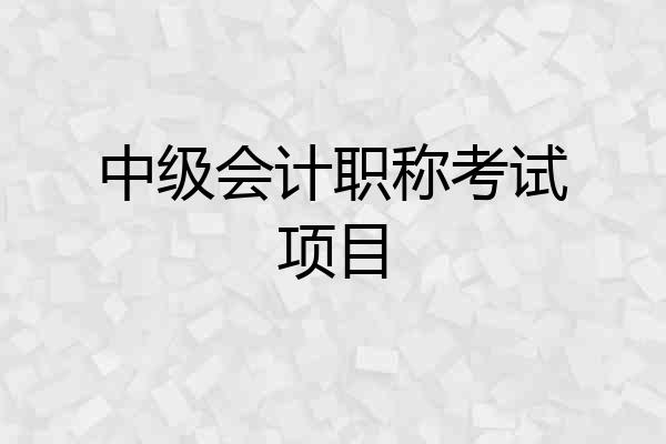 中级会计职称考试项目