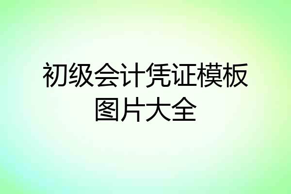 初级会计凭证模板图片大全