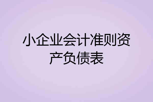 小企业会计准则资产负债表