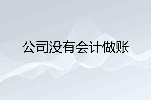 公司没有会计做账