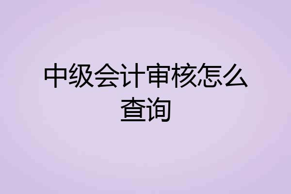 中级会计审核怎么查询