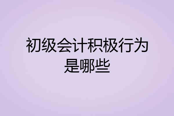 初级会计积极行为是哪些