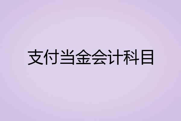 支付当金会计科目