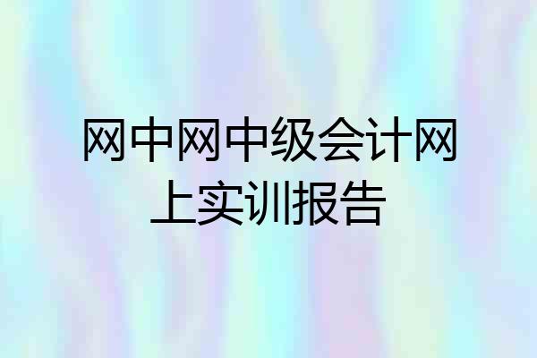 网中网中级会计网上实训报告