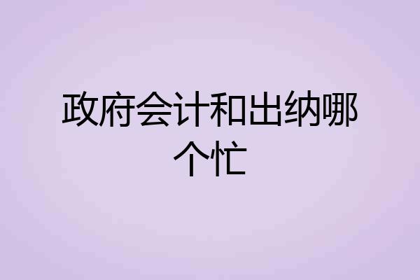 政府会计和出纳哪个忙