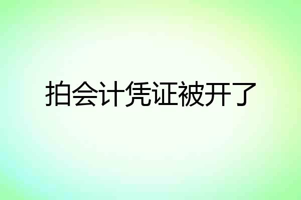 拍会计凭证被开了
