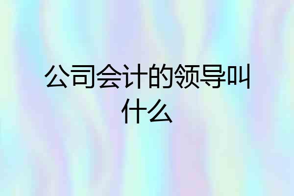 公司会计的领导叫什么