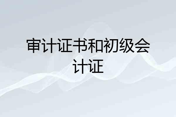 审计证书和初级会计证