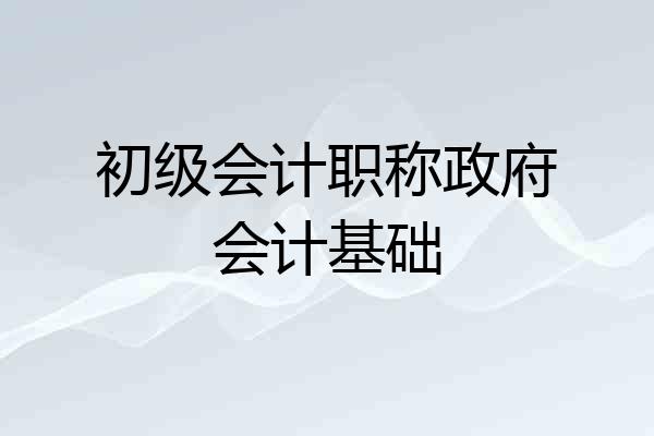 初级会计职称政府会计基础