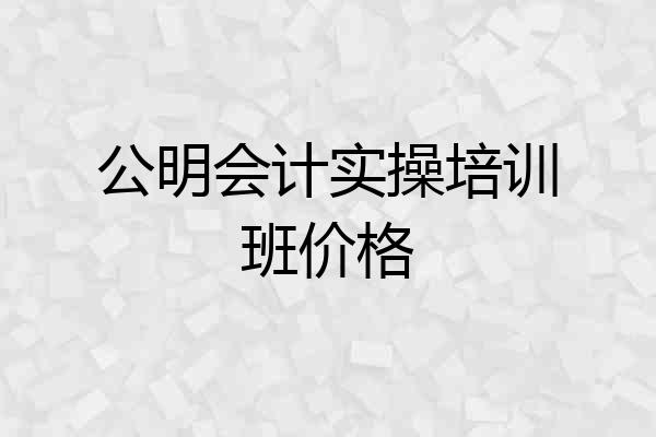 公明会计实操培训班价格