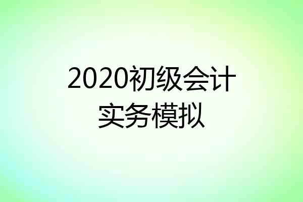 2020初级会计实务模拟