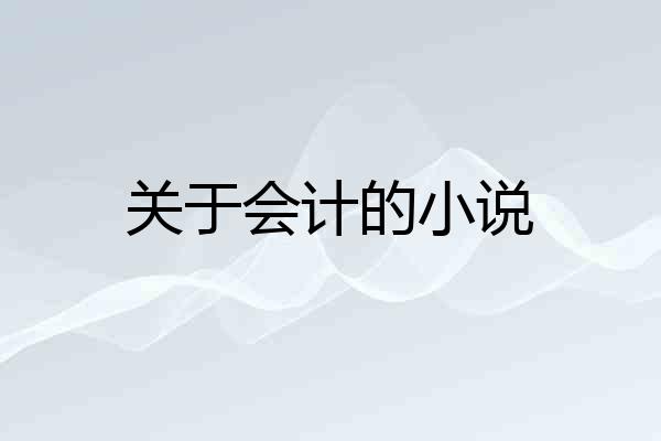 关于会计的小说