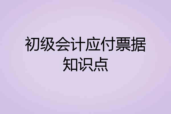 初级会计应付票据知识点