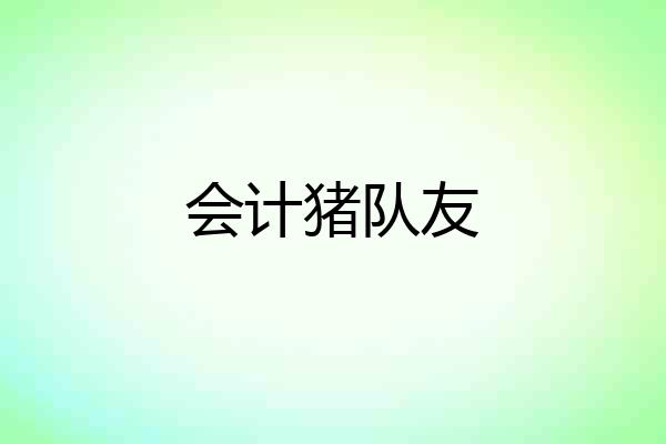 会计猪队友
