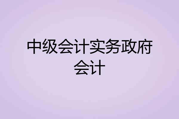中级会计实务政府会计