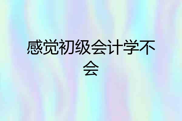 感觉初级会计学不会