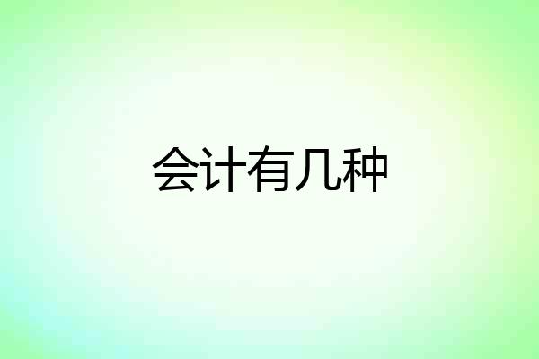 会计有几种