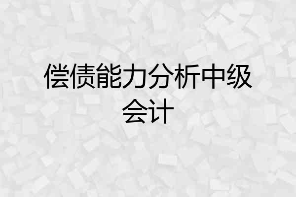 偿债能力分析中级会计